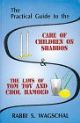 102243 The Practical Guide to the Care of Children on Shabbos and the Laws of Yom Tov & Chol ha-Mo'ed